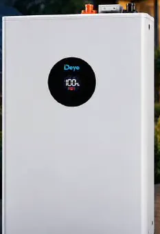 Акумулятор Deye SE-F5 Pro-C